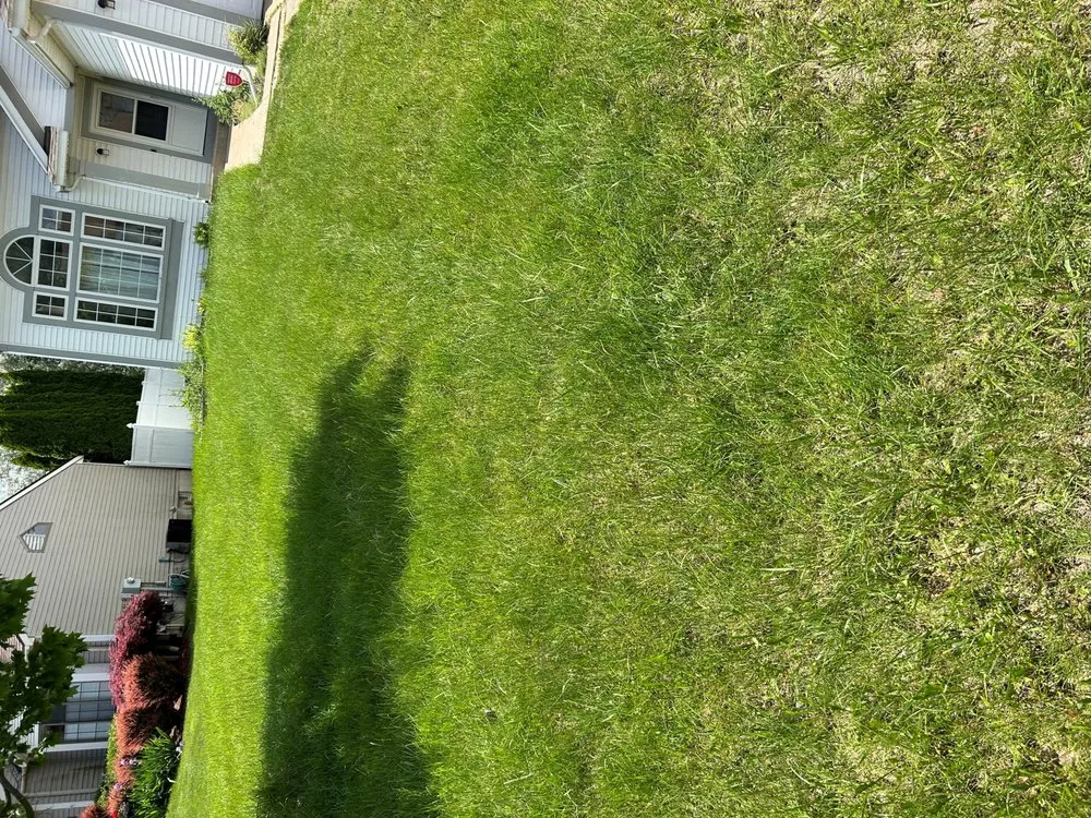 Custom yard maintenance experts serving Grand Rapids, MI - Miller Lawn & Snow