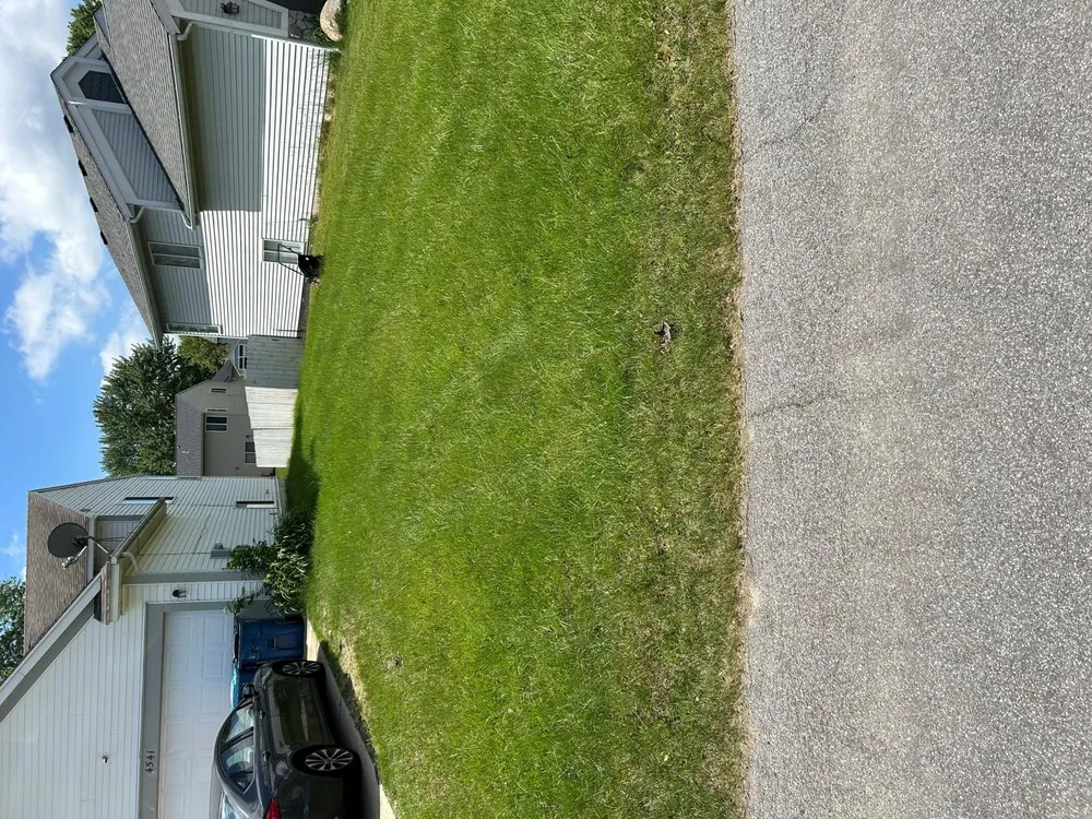 Professional yard cleanup service for outdoor upgrades in Grand Rapids, MI by Miller Lawn & Snow