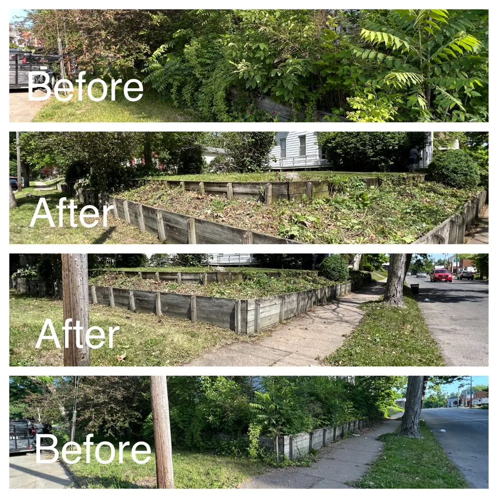 Expert lawn mowing service in Barry, IL by Miller Lawn Care