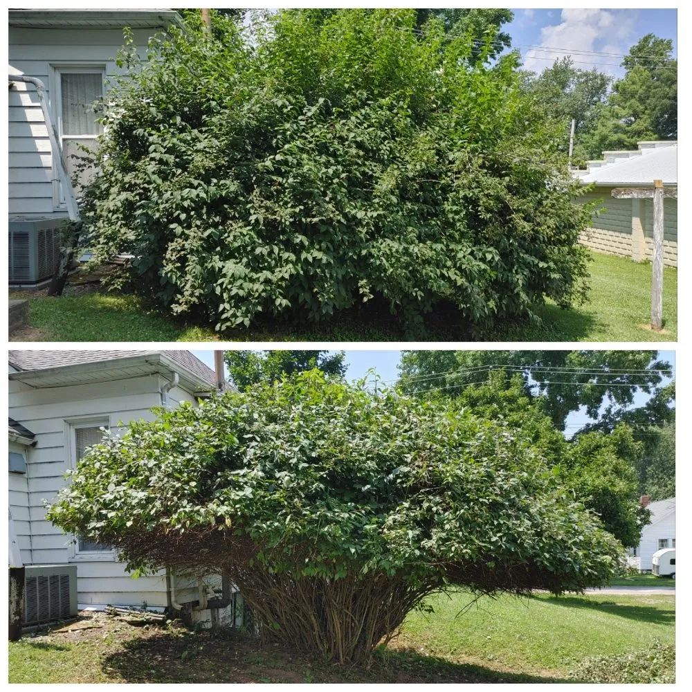 Trusted landscaping services for year-round maintenance in Barry, IL by Miller Lawn Care