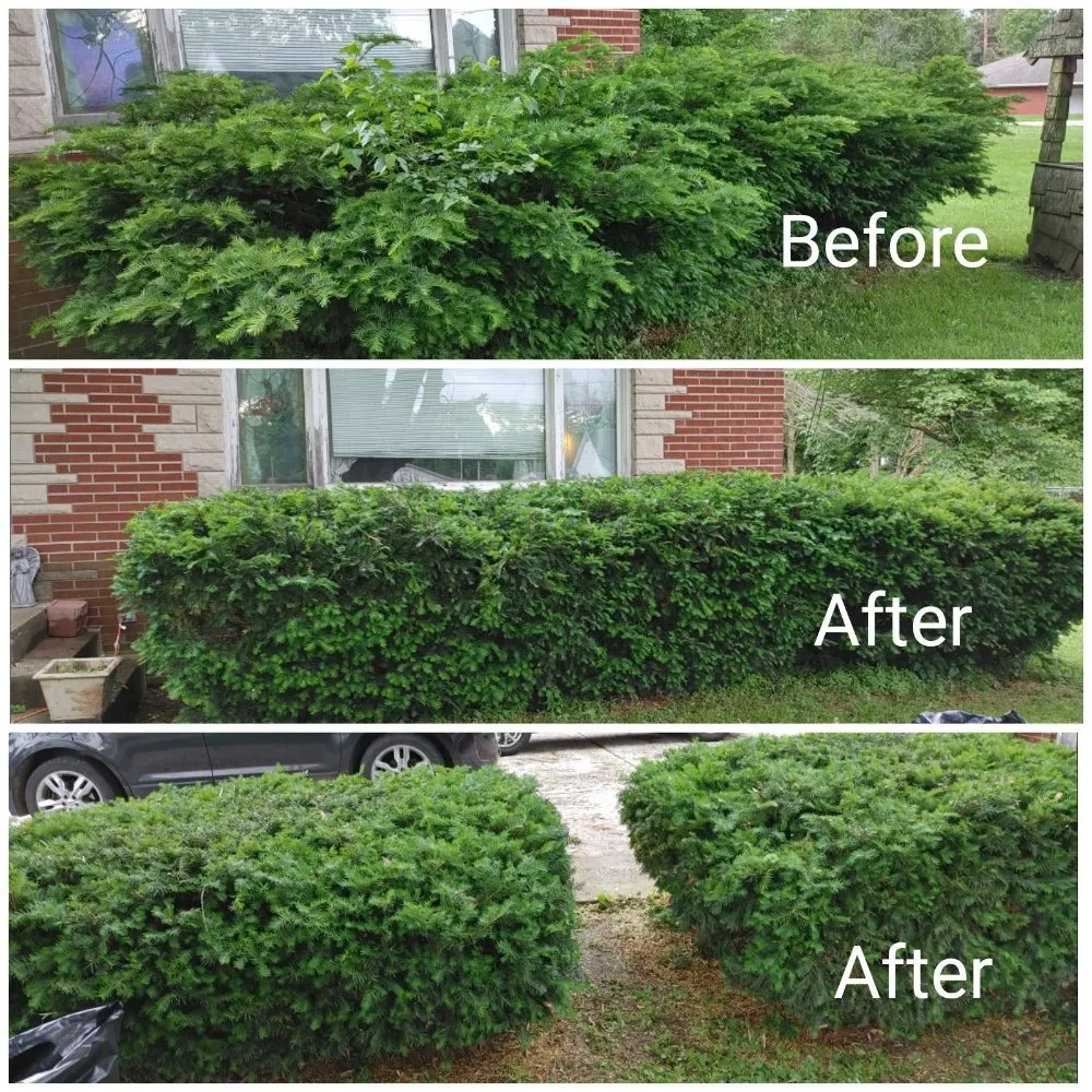 Affordable landscape installation with custom design in Barry, IL by Miller Lawn Care