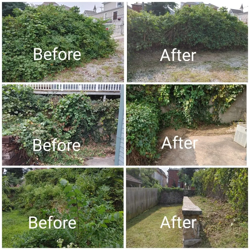 Professional lawn mowing service in Barry, IL by Miller Lawn Care