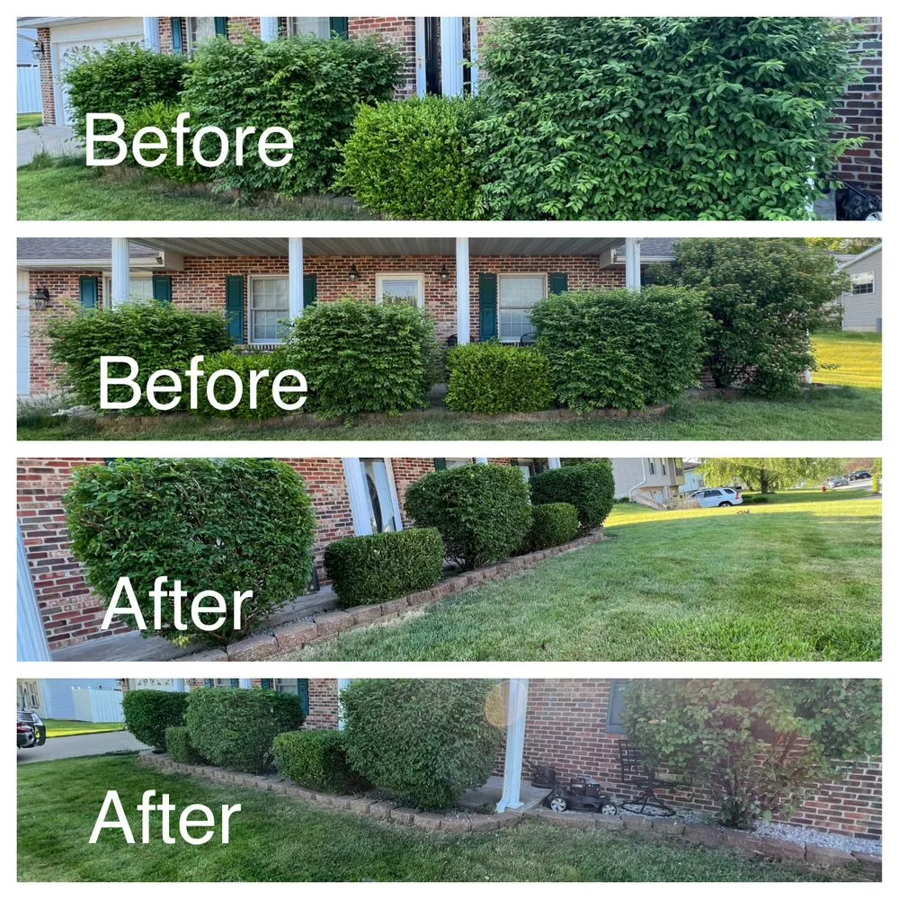 Expert outdoor landscaping experts serving Barry, IL - Miller Lawn Care