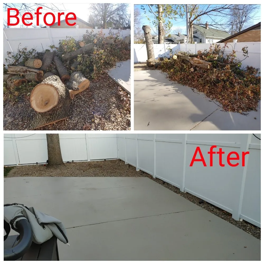 Reliable yard cleanup service for year-round maintenance across Barry, IL - Miller Lawn Care