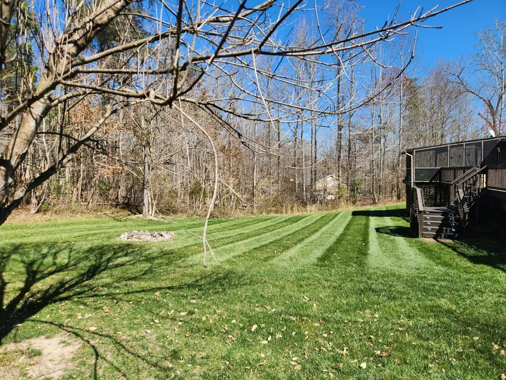 Local yard maintenance for outdoor upgrades in Mineral, VA by Miller Lawn Care
