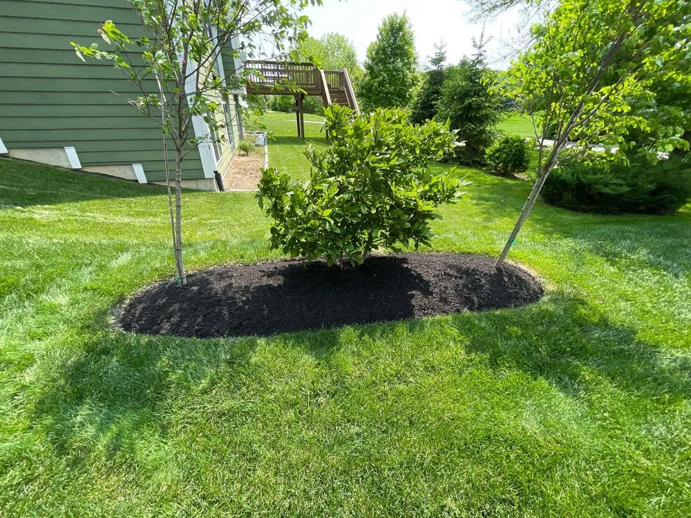 Affordable landscaping services in Fishers, IN by Miller Lawn Maintenance