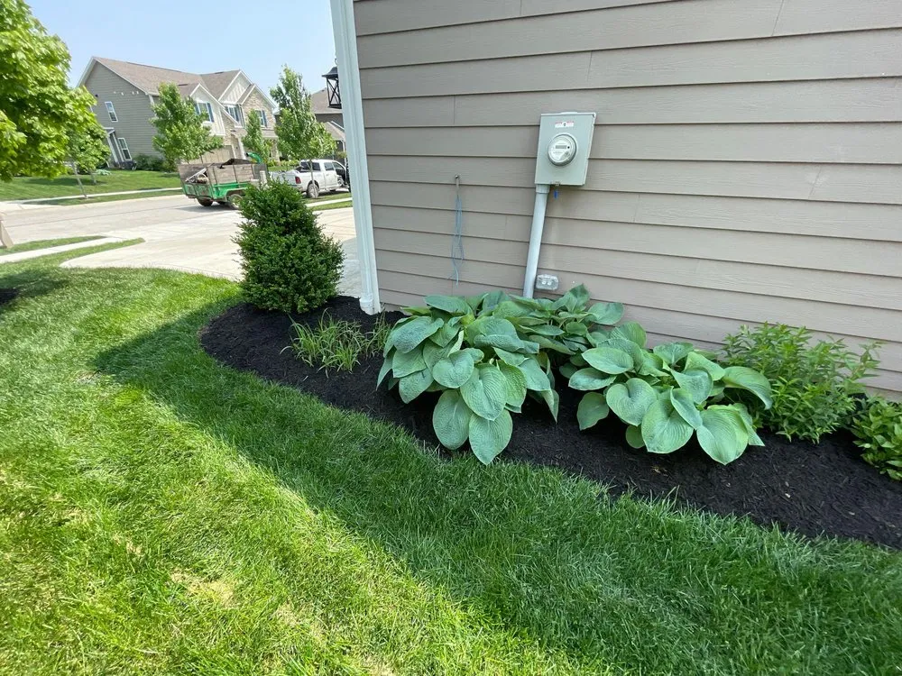 Reliable lawn care service in Fishers, IN - Miller Lawn Maintenance