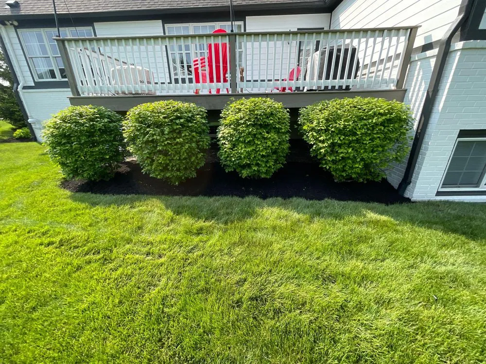 Local yard cleanup service for outdoor upgrades across Fishers, IN - Miller Lawn Maintenance