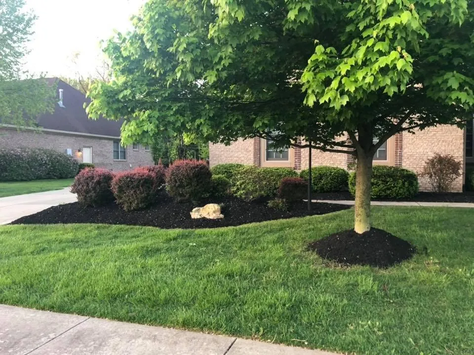 Local landscaping services in Fishers, IN - Miller Lawn Maintenance
