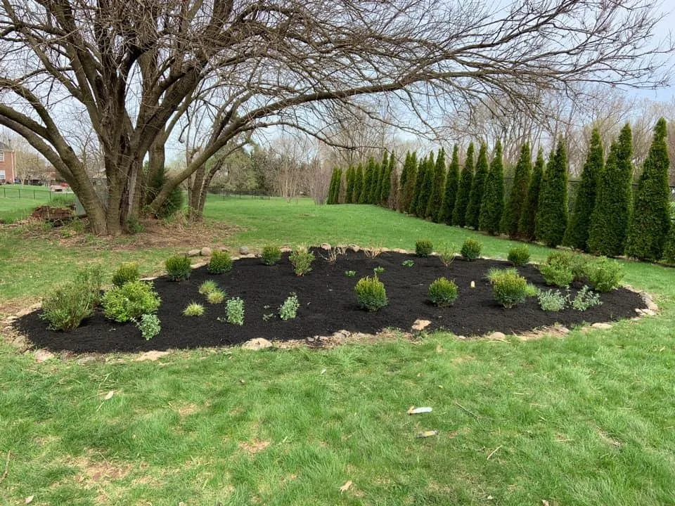 Professional landscape installation experts serving Fishers, IN - Miller Lawn Maintenance