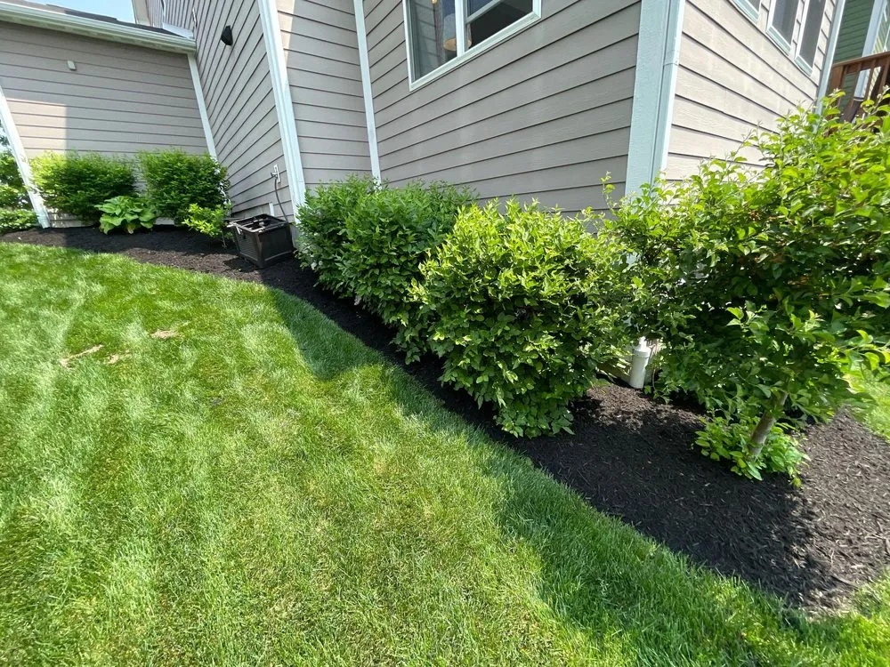 Top-rated landscaping services in Fishers, IN - Miller Lawn Maintenance