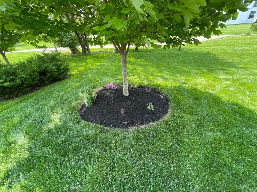 Custom lawn mowing service in Noblesville, IN - Miller Lawn Maintenance