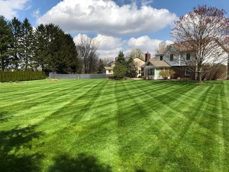 Trusted yard cleanup service for year-round maintenance in Noblesville, IN by Miller Lawn Maintenance