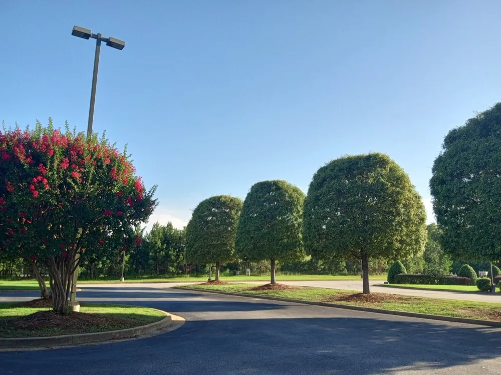 Professional yard cleanup service experts serving Camp Hill, AL - Miller lawns