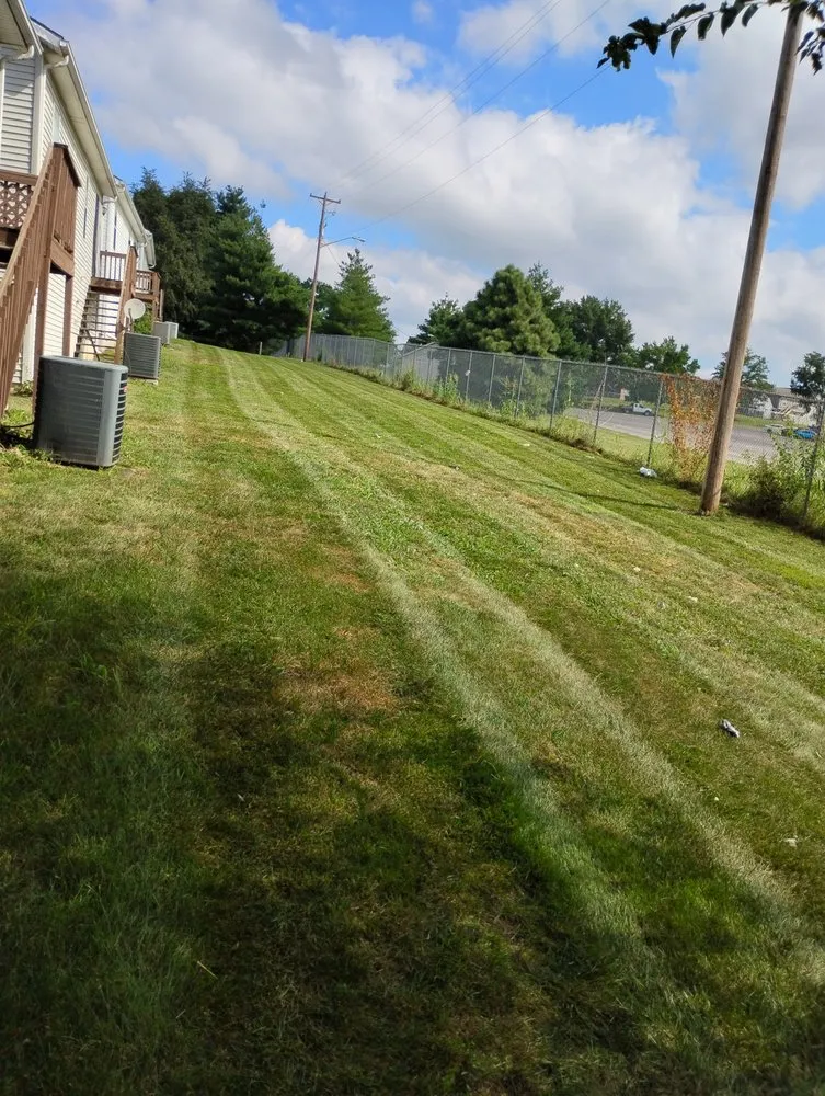 Local yard cleanup service near you in Parkville, MO by Miller Mo