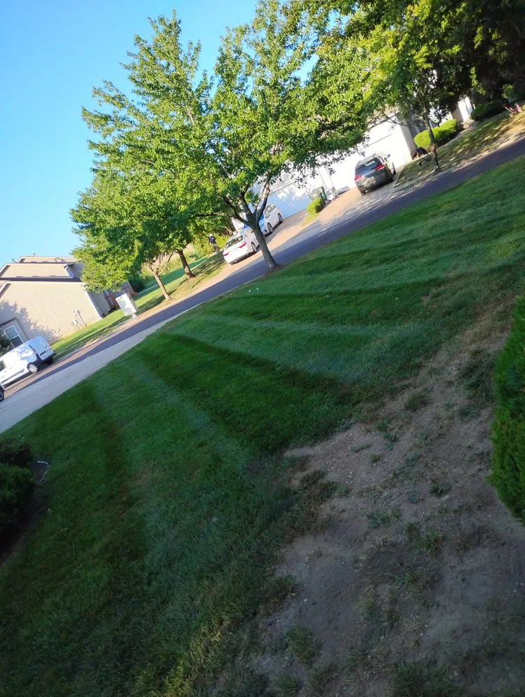 Top-rated lawn care service for beautiful yards in Parkville, MO by Miller Mo