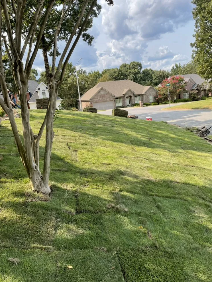 Expert landscape design for beautiful yards in Little Rock, AR by Miller Mowing & Lawncare