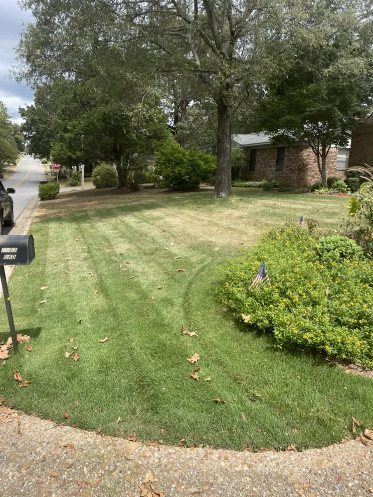 Affordable yard maintenance for homes in Little Rock, AR by Miller Mowing & Lawncare
