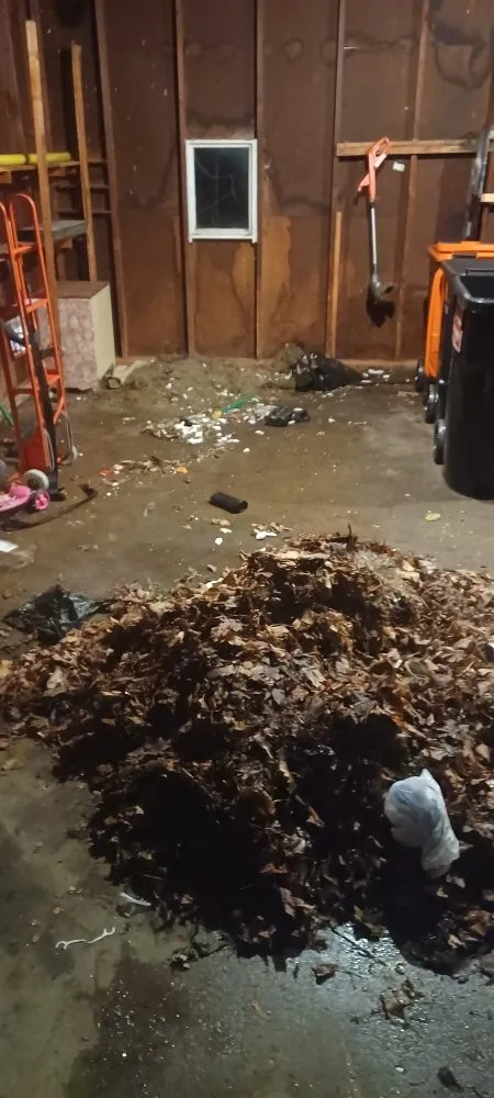 Top-rated yard cleanup service for year-round maintenance in Grand Rapids, MI by Miller Multi-Service