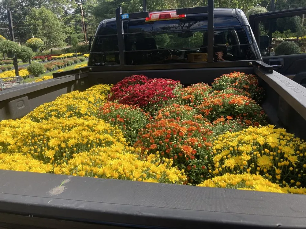 Professional landscape installation in Salem, NH by Miller Property Maintenance