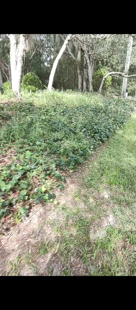 Top-rated residential landscaping in Citrus Springs, FL - Miller Works Landscaping