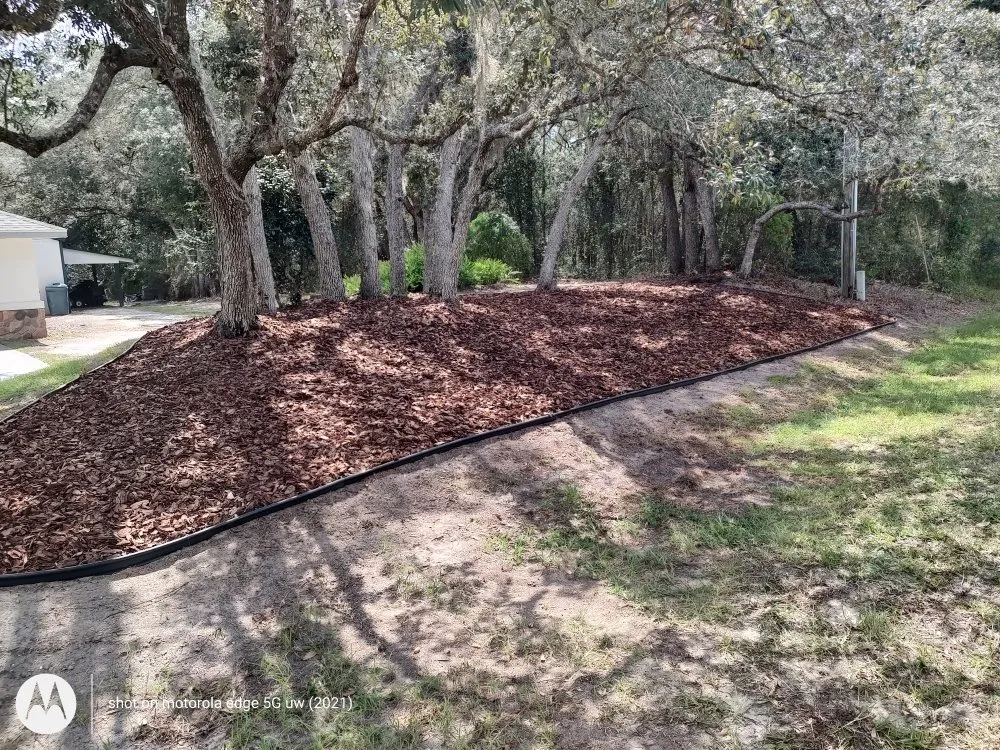 Local outdoor landscaping in Citrus Springs, FL by Miller Works Landscaping