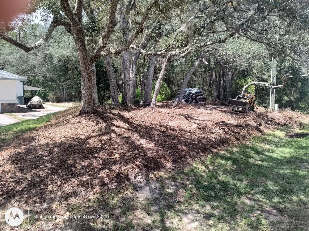 Local lawn care service with custom design in Citrus Springs, FL by Miller Works Landscaping