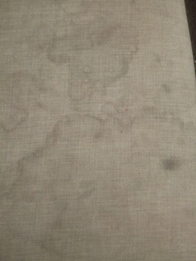 Professional lawn care service in Paris, TX by Millers Cleaning And Landscaping