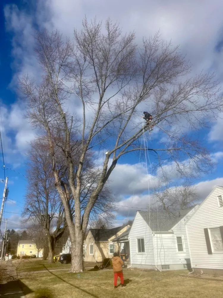Trusted landscape installation in Columbus, OH by Miller’s Forestry Tree & Mulch