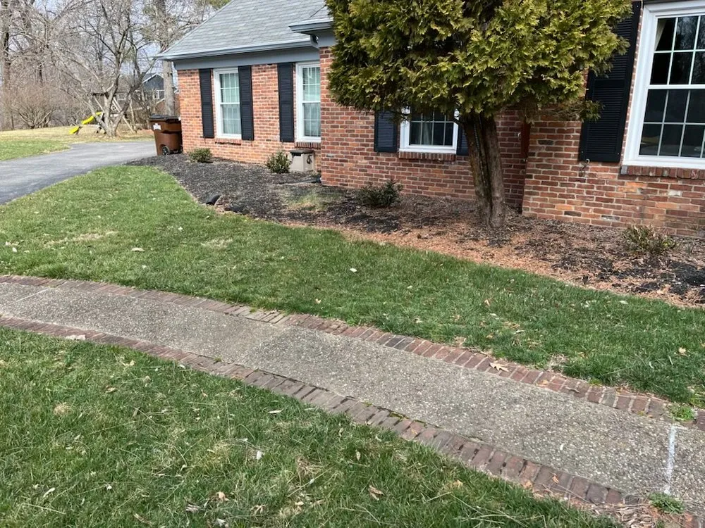 Expert yard cleanup service in Columbus, OH - Miller’s Forestry Tree & Mulch