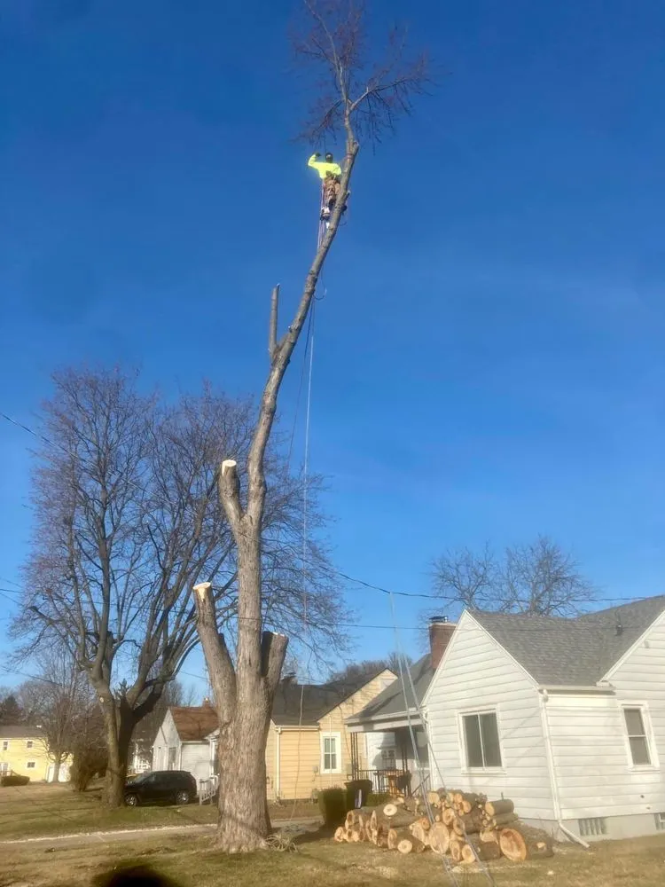 Trusted landscape design in Columbus, OH - Miller’s Forestry Tree & Mulch