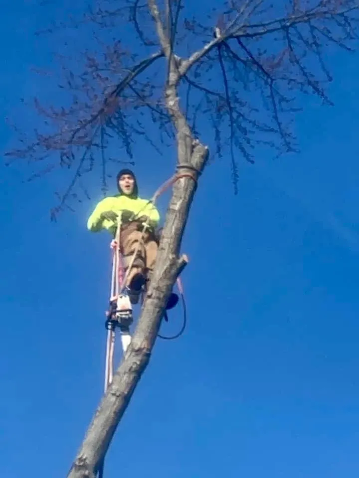 Expert lawn mowing service for outdoor upgrades in Columbus, OH by Miller’s Forestry Tree & Mulch