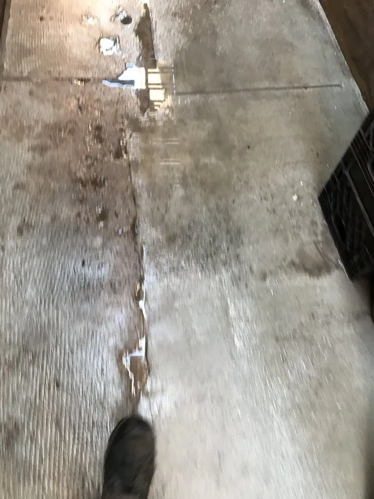 Custom yard maintenance for outdoor upgrades across Downingtown, PA - Millers Grass Cutting and Power Washing