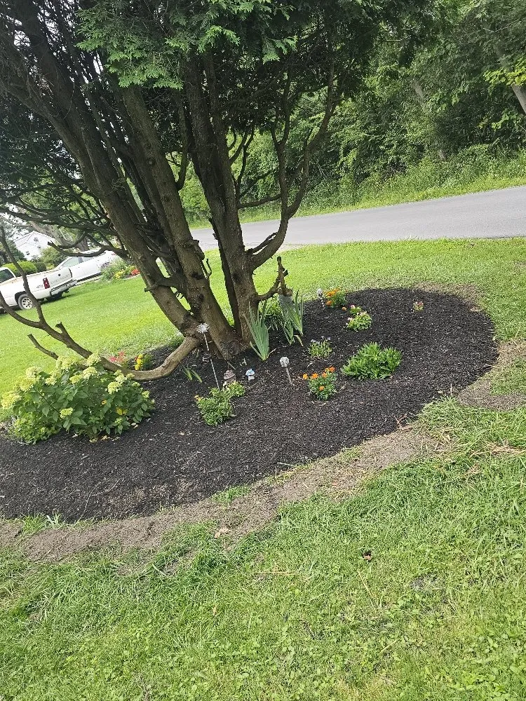 Custom lawn mowing service for homes across Osceola Mills, PA - Miller's Green Thumb Services