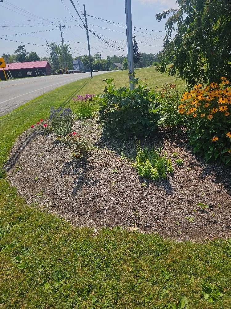 Expert yard cleanup service for residential properties across Osceola Mills, PA - Miller's Green Thumb Services
