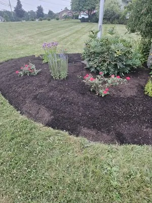 Miller's Green Thumb Services