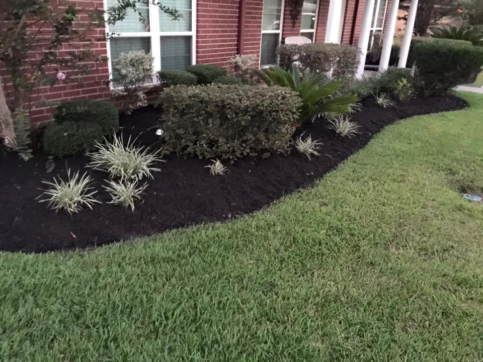 Trusted landscape design for outdoor upgrades across Lumberton, TX - Miller's Handy Man, Lawn Care, and Landscaping