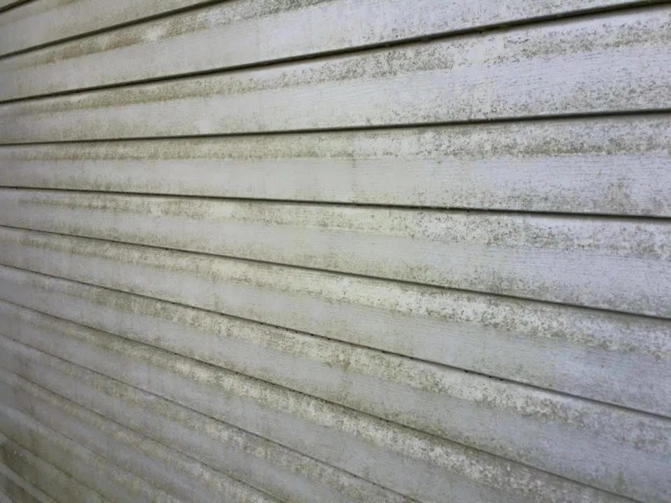 Expert landscape installation in Lumberton, TX - Miller's Handy Man, Lawn Care, and Landscaping