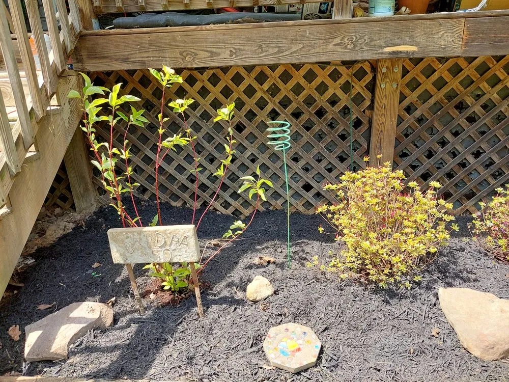 Reliable yard cleanup service in Winchester, VA - Millers Handyman