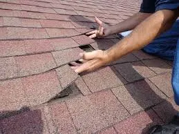 Professional outdoor landscaping experts serving Winchester, VA - Millers Handyman