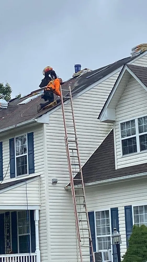 Trusted yard cleanup service with custom design in Winchester, VA by Millers Handyman