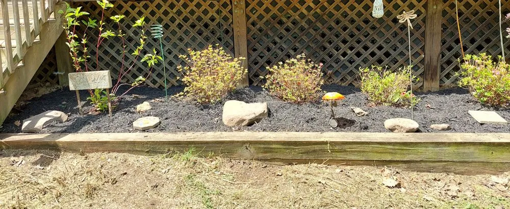 Custom yard maintenance experts serving Winchester, VA - Millers Handyman