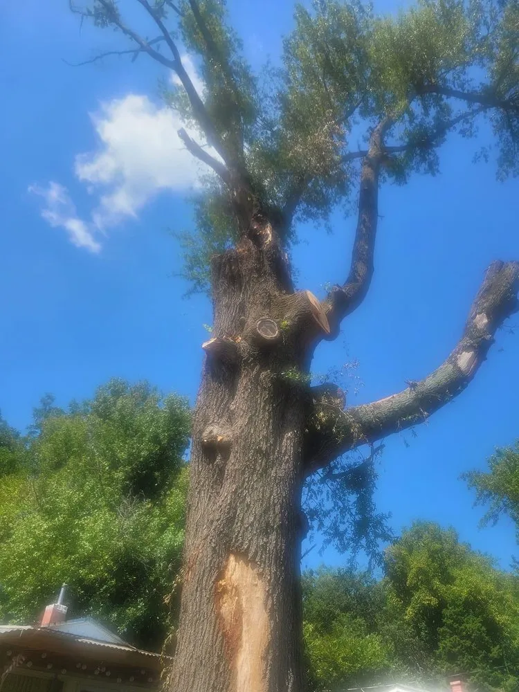 Affordable residential landscaping in Lenoir, NC by Millers Home Improvements