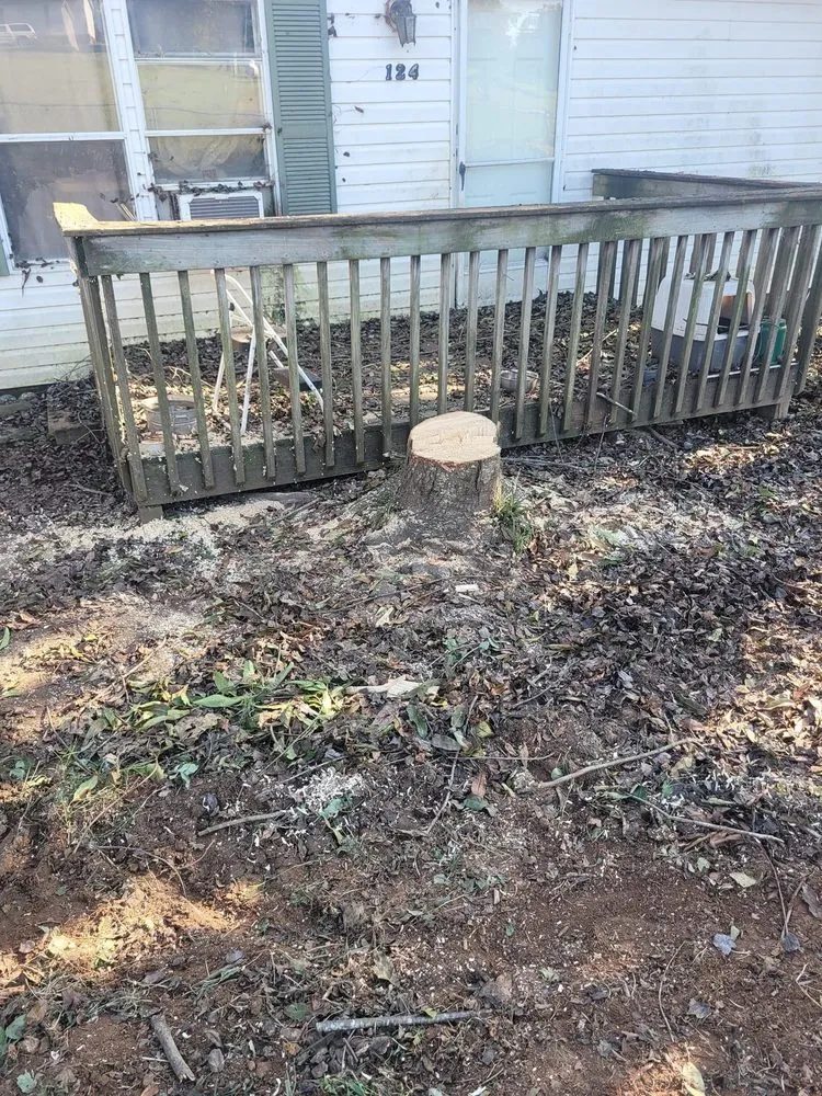 Top-rated lawn care service in Lenoir, NC by Millers Home Improvements