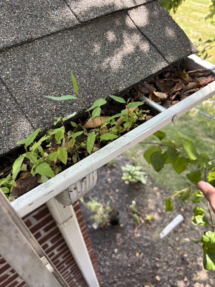 Professional garden landscaping in Martinsville, IN - Miller’s Innovation