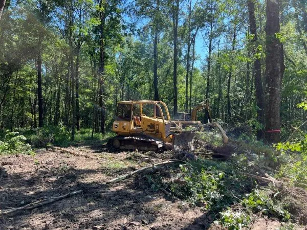 Professional yard cleanup service in Slidell, LA by Millers Land Clearing - Slidell