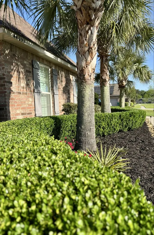 Expert lawn care service experts serving Hammond, LA - Miller’s Landscaping