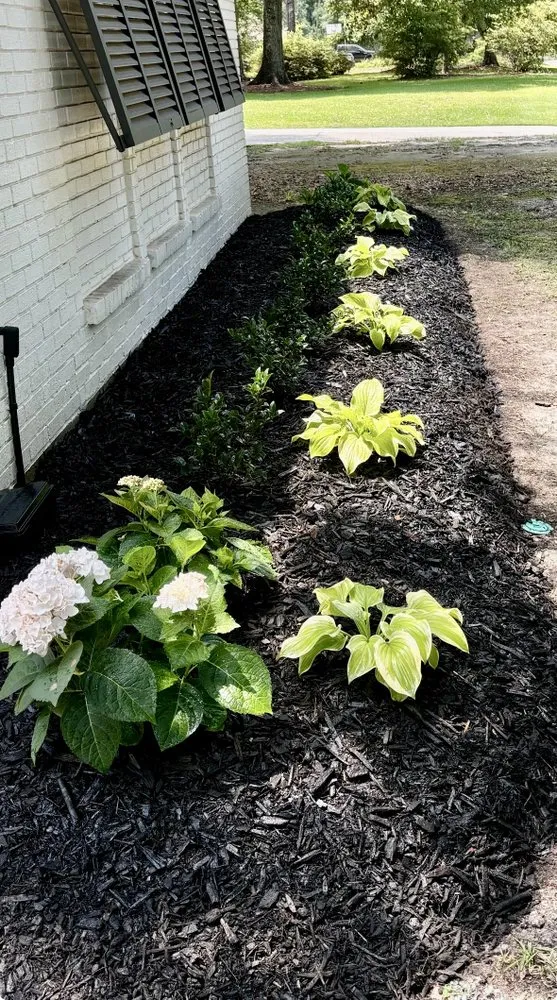 Affordable yard cleanup service near you in Hammond, LA by Miller’s Landscaping