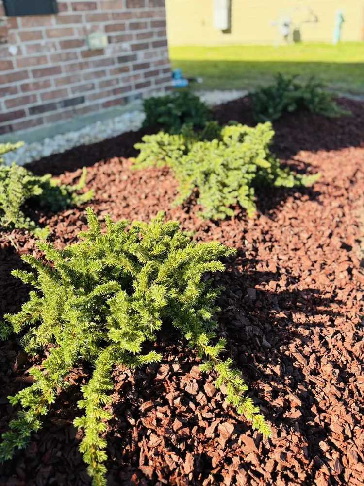 Expert landscaping services experts serving Hammond, LA - Miller’s Landscaping