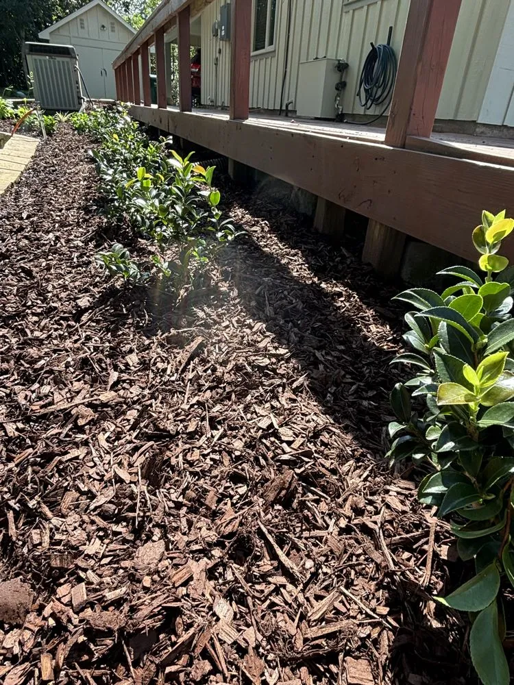 Local yard cleanup service with custom design in Hammond, LA by Miller’s Landscaping